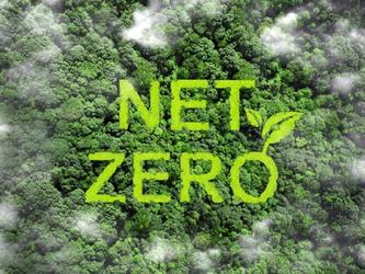 Net zero